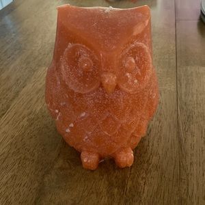 Owl Candle
